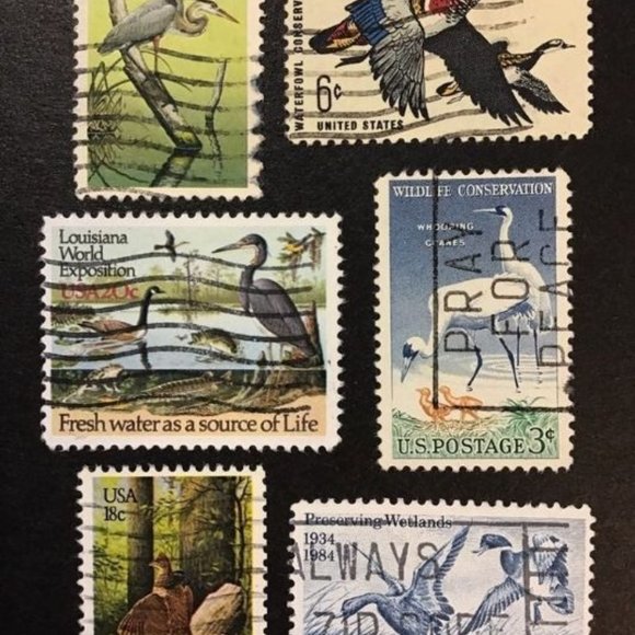 Bird Wildlife Conservation Framed Postage Stamp Art #EF96. - Picture 1 of 4